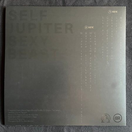 Self Jupiter : Sexy Beast (LP, Album, Ltd)