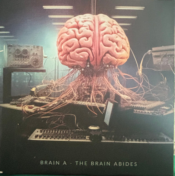 Brain A : The Brain Abides (LP, Ltd)